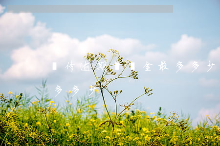 裝修逾期違約金最多多少(裝修逾期違約金最多多少)