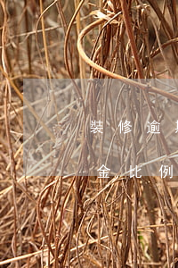 裝修逾期違約金比例千分之五（裝修逾期違約金比例千分之五）