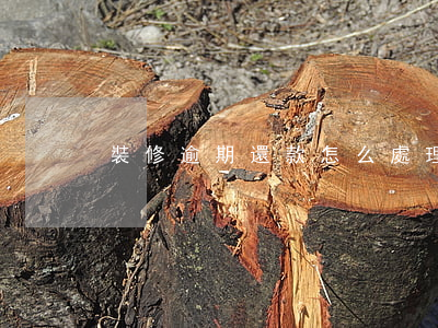 裝修逾期還款怎么處理