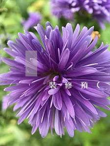 裝修預(yù)算表(裝修預(yù)算表格)