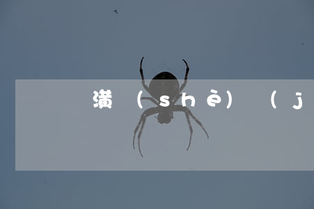 裝潢設(shè)計(jì)合同