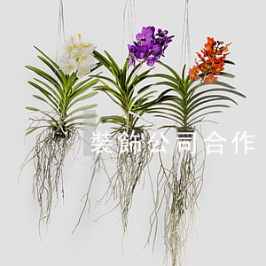 裝飾公司合作
