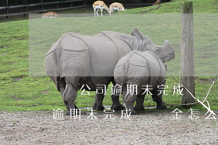 裝飾公司逾期未完成違約金怎么算(裝飾公司逾期未完成違約金怎么算的)