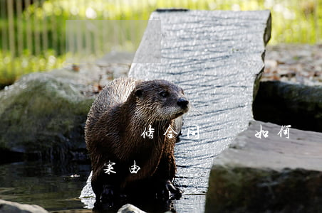 裝飾裝修合同糾紛如何處理(裝飾裝修合同糾紛案由)