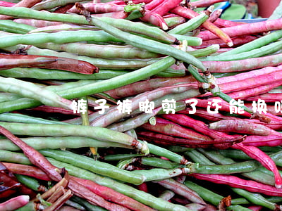 裤子裤脚剪了还能换吗