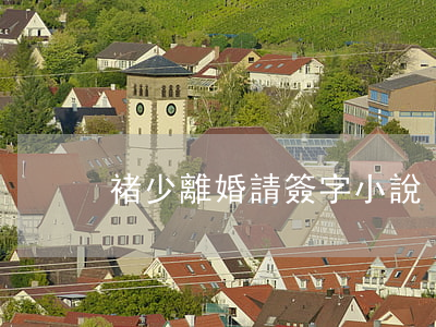 褚少離婚請簽字小說