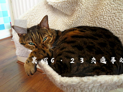 襄城6.23交通事故(襄陽交通事故最新新聞)