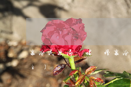 襄汾民政局辦理離婚(襄汾民政局離婚預(yù)約)
