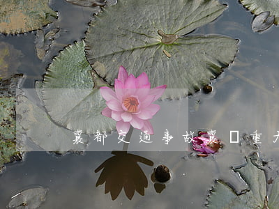 襄都交通事故(襄陽重大交通事故)