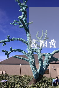 襄阳黄集镇欠信用卡(湖北襄阳是哪里的催收)