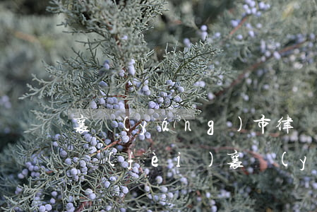 襄陽(yáng)市律師事務(wù)所收費(fèi)(襄陽(yáng)律師事務(wù)所咨詢電話號(hào)碼多少?)