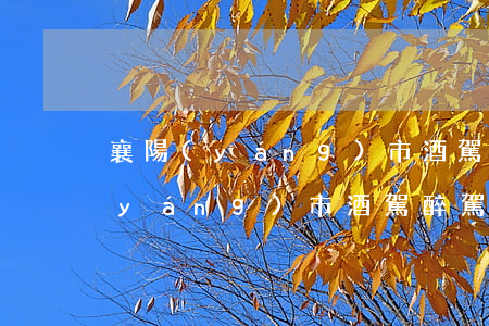 襄陽(yáng)市酒駕不起訴案例(襄陽(yáng)市酒駕醉駕處理人員)
