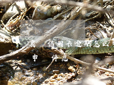 襄陽信用卡逾期怎么申請停息掛賬(逾期了能申請停息掛賬嗎)