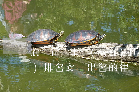 襄陽律師事務(wù)所十強(qiáng)排名(襄陽出名的律師事務(wù)所)