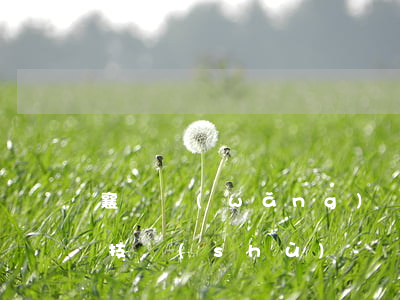 襄陽網(wǎng)貸逾期退息退保的方法技術(shù)-網(wǎng)貸退息退保流程攻略
