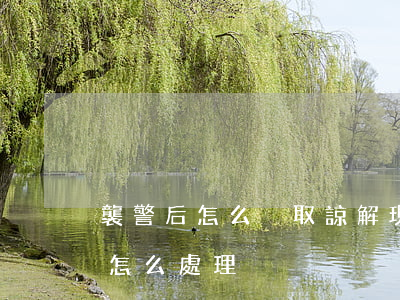 襲警后怎么爭取諒解(現(xiàn)在襲警怎么處理)