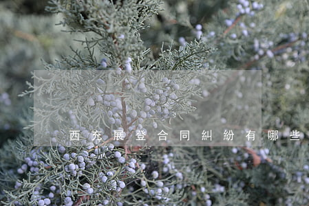 西充展登合同糾紛有哪些