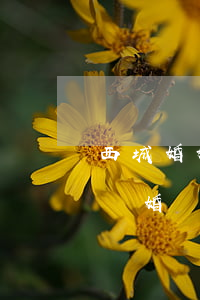 西城婚姻家庭糾紛律師推薦(西城婚姻登記處 離婚)