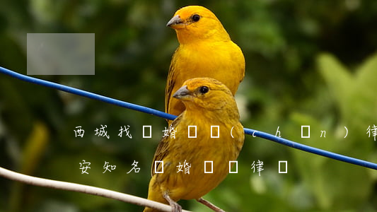 西城找離婚財產(chǎn)律師哪家好(西安知名離婚糾紛律師)