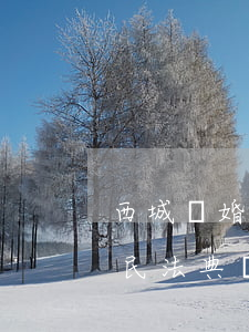 西城離婚彩禮糾紛律師怎么收費(fèi)(民法典離婚彩禮要退嗎)