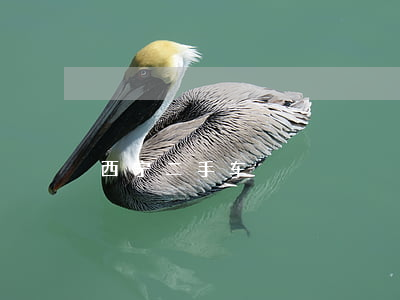 西宁二手车