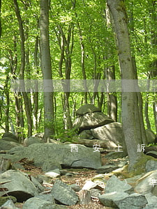 西安上訴離婚律師收費(fèi)標(biāo)準(zhǔn)(申請(qǐng)上訴離婚找律師需要多少錢)