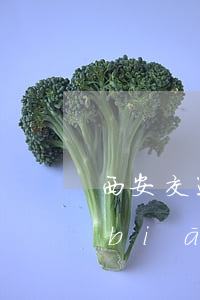 西安交通事故律師一般收費(fèi)標(biāo)準(zhǔn)是多少(交通事故民事訴訟律師收費(fèi)標(biāo)準(zhǔn))