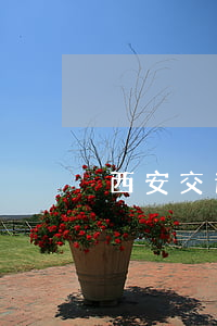 西安交通違章(西安交通違章處理大廳)