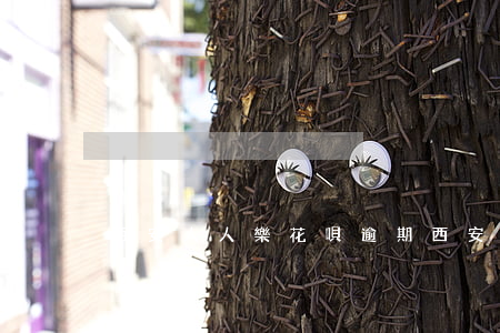西安人人樂花唄逾期(西安人人樂花唄逾期)