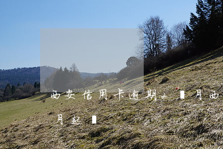 西安信用卡逾期2個月(西安信用卡逾期2個月起訴)