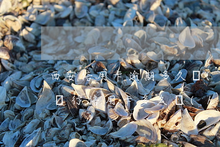 西安信用卡逾期多久會(huì)被起訴(欠銀行信用卡多久會(huì)起訴)