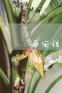 西安信用卡逾期處理費用-2021年對于信用卡逾期的處理