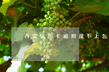 西安信用卡逾期還不上怎么辦