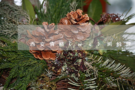 西安債務(wù)糾紛律師違約