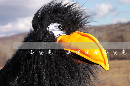西安免費法律援助(西安免費法律援助咨詢電話)