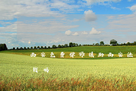 西安免费律师援助(西安法律援助中心咨询要钱吗)