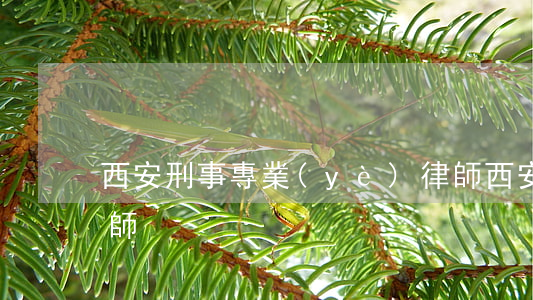 西安刑事專業(yè)律師(西安專職刑事律師)