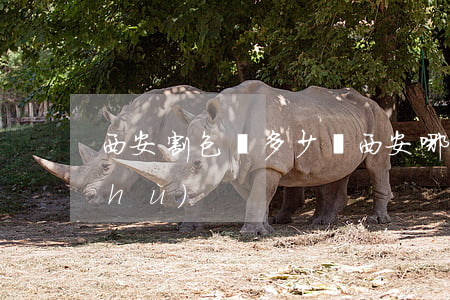 西安割包莖多少錢(西安哪有做包莖手術(shù))