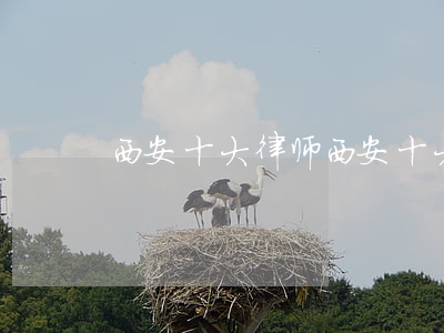 西安十大律师(西安十大律师事务所最新排名)