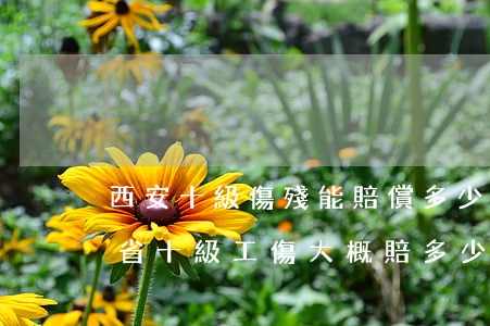 西安十級傷殘能賠償多少錢2020年(陜西省十級工傷大概賠多少)