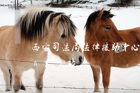 西安司法局法律援助中心(西安司法網(wǎng)站)