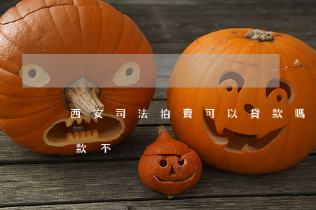 西安司法拍賣可以貸款嗎(司法拍賣房子能貸款不)