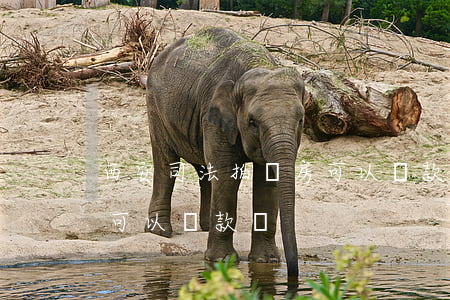 西安司法拍賣房可以貸款嗎(法院拍賣的房子可以貸款嗎)