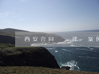 西安合同糾紛律師案例