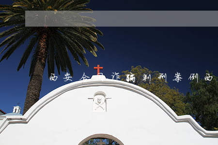 西安合同诈骗判刑案例(西安特大合同诈骗)