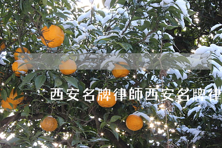 西安名牌律師(西安名牌律師)