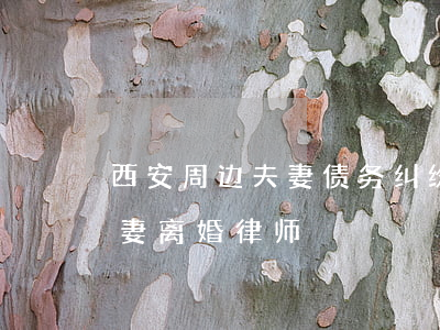 西安周边夫妻债务纠纷律师哪里找-西安夫妻离婚律师