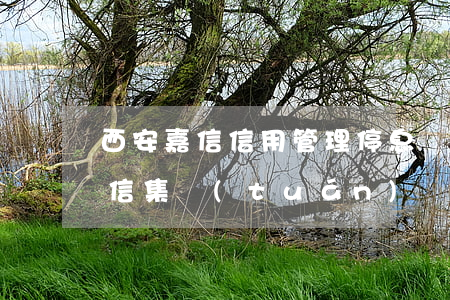 西安嘉信信用管理停息掛賬真的嗎-西安嘉信集團(tuán)