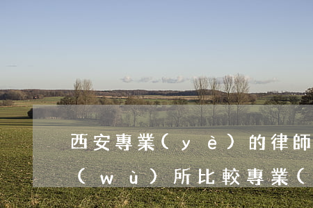 西安專業(yè)的律師(西安哪家律師事務(wù)所比較專業(yè))