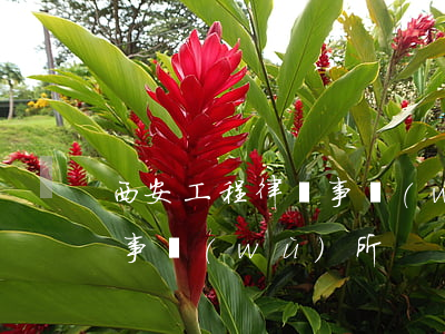 西安工程律師事務(wù)所(西安工程律師事務(wù)所)